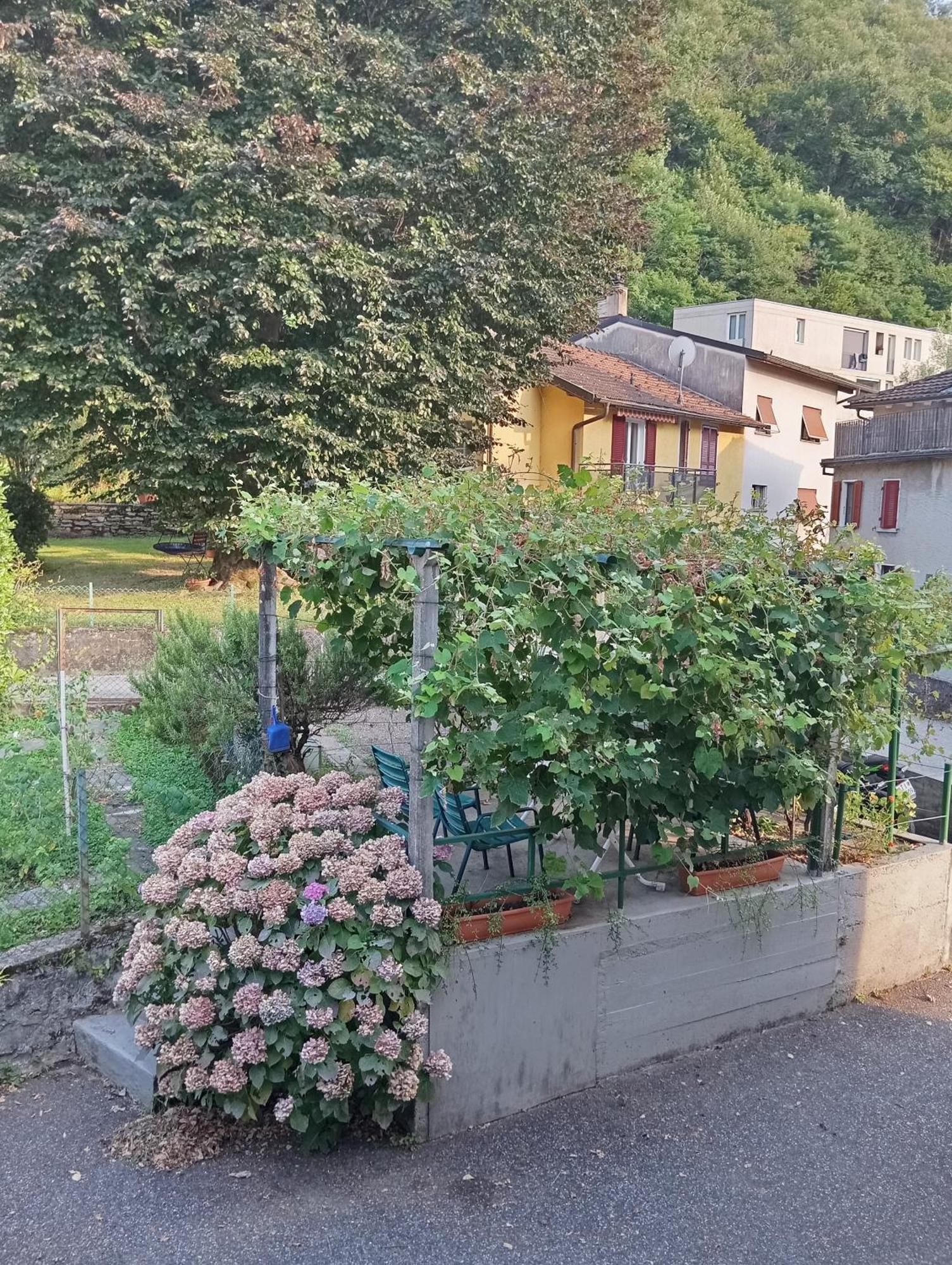 Minicasa Villa Bellinzona Exterior photo